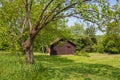 Old brown barn framed by a tree Royalty Free Stock Photo