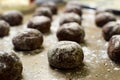 Small brown chocolate gingerbread cookies lay on a baking sheet sprinkled with powdered sugar Royalty Free Stock Photo