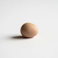 The background is plain emphasizing the egg s simplicity and form Royalty Free Stock Photo