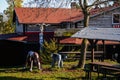 Small brown house, Old wooden timber hut with a fence, carved statues elephant, horse, indian totem, Bohemian Paradise, rock Royalty Free Stock Photo