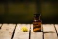 Small brown medicine bottle for magicians remedy, yellow flower lying next to it, sitting on wooden surface