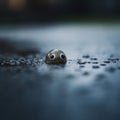 A small brown object with eyes sticking out of the water, AI