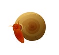 Small Brown Snail with Round Shell Colorful Poster