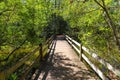 A small brown wooden bridge over a silky green lake surrounded by lush green trees and plants at Callaway Gardens Royalty Free Stock Photo