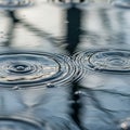 Small bubbles are visible near the ripple centers, enhancing the tranquil effect Royalty Free Stock Photo
