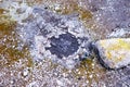 Small sulphur puddle at Sulphur Bay, Rotorua, New Zealand