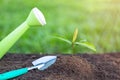 A small bucket of water in the hand Watering seedlings growing from the soil. World environment day concept. Caring for seedlings Royalty Free Stock Photo