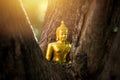 Small buddha statue gold color bright inside the wood