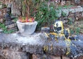 A small Buddhist altar with lots of incense sticks. Frozen melted wax streams