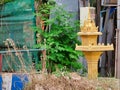 A small Buddhist sanctuary among the heaps of garbage on a city street, a garbage dump near a