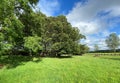 Small building, hidden by old trees near, Otley, Leeds, UK Royalty Free Stock Photo