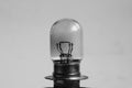 Weak yellow bulb light. small bulb black and white background Royalty Free Stock Photo