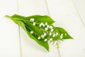 Small bunch of blooming lily of valley with white flowers Royalty Free Stock Photo