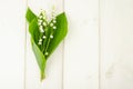 Small bunch of blooming lily of valley with white flowers Royalty Free Stock Photo