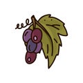 Small bunch of dark grapes with green leaf and mustache. Cartoon isolated icon on white background. Hand drawn vector image. Color Royalty Free Stock Photo