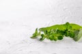 Small bunch of fresh herbs thyme and sage on white background. Copy space