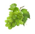 Small bunch of green grapes isolated on white background Royalty Free Stock Photo