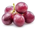 Small bunch of red table grape covered with water drops isolated on white background Royalty Free Stock Photo