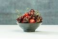 A small bunch of ripe cherries with stems Royalty Free Stock Photo