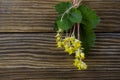 Small bunch of yellow flowers on rustic wood Royalty Free Stock Photo