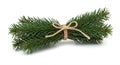 A small bundle of pine branches with lush green needles, tied together with a simple Royalty Free Stock Photo