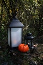 A small burning lantern in the forest, surrounded by cones, pumpkin and fir needles Royalty Free Stock Photo