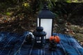 A small burning lantern in the forest, surrounded by cones, pumpkin and fir needles Royalty Free Stock Photo