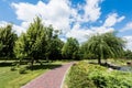 Small bushes on green grass near trees