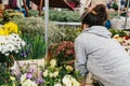 A small business for selling flowers. Street shop. A young girl is a salesman doing work. There are different kinds of Royalty Free Stock Photo