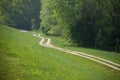 Small Bypath Next to the Forest Royalty Free Stock Photo