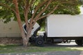 Small cab over semi truck with open cab and box trailer independently makes repairs at home right under the tree Royalty Free Stock Photo