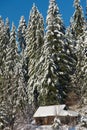 Small cabin covered with fresh snow