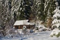 Small cabin covered with fresh snow