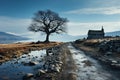 a small cabin sits in the distance behind a tree on a rocky road