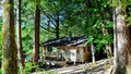 Small cabin on the wild and scenic rogue river Royalty Free Stock Photo