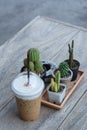 Small cactus and coffee cup on wooden brown table