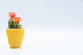 Small cactus plant with orange flower in a yellow pot, isolated over white background with copy space Royalty Free Stock Photo