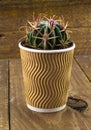 Small cactus plant in a paper coffee cup Royalty Free Stock Photo