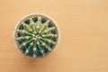 Small cactus on the table. Top view. Free space. Royalty Free Stock Photo