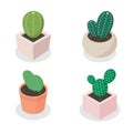 Small cactus vector isometric