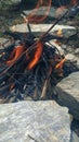 Small camp fire in the nature in Himalayas