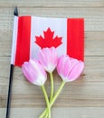 Small Canadian flag with pink tulips on a wood background Royalty Free Stock Photo