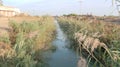 Small canal in an agricultural field sindh Royalty Free Stock Photo
