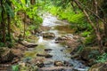 Small canal at Mork Fa waterfall Royalty Free Stock Photo