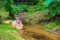 Small canal at Mork Fa waterfall Royalty Free Stock Photo