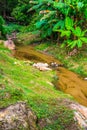 Small canal at Mork Fa waterfall Royalty Free Stock Photo