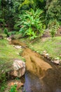 Small canal at Mork Fa waterfall Royalty Free Stock Photo