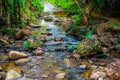 Small canal at Mork Fa waterfall Royalty Free Stock Photo