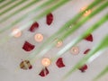 small candles in the bathroom on the foam with rose petals with a green fern leaf in the Spa close-up. Royalty Free Stock Photo