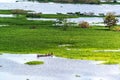 Small Canoe in the Amazon